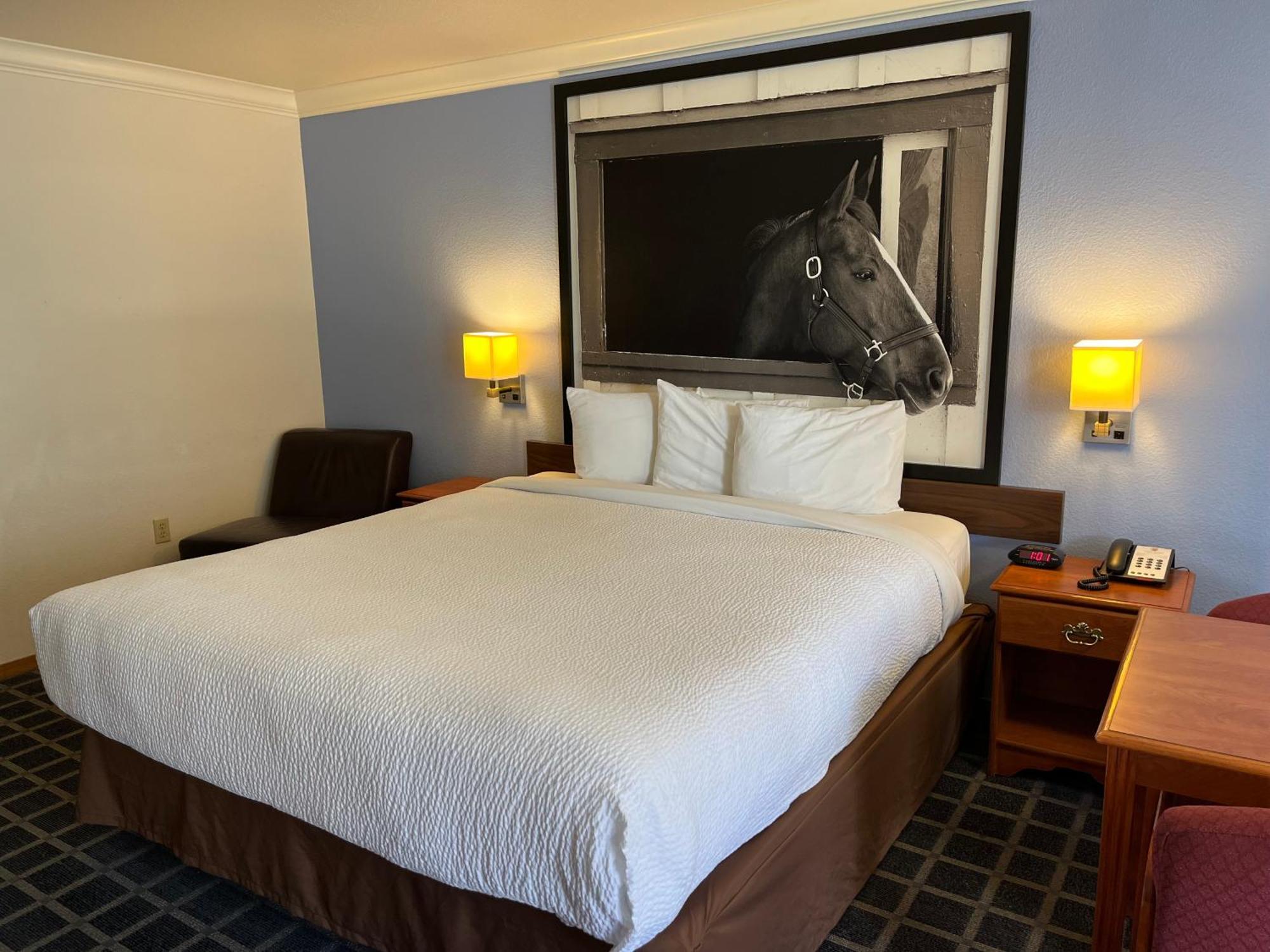 Creekside Inn & Suites Уилиц Екстериор снимка