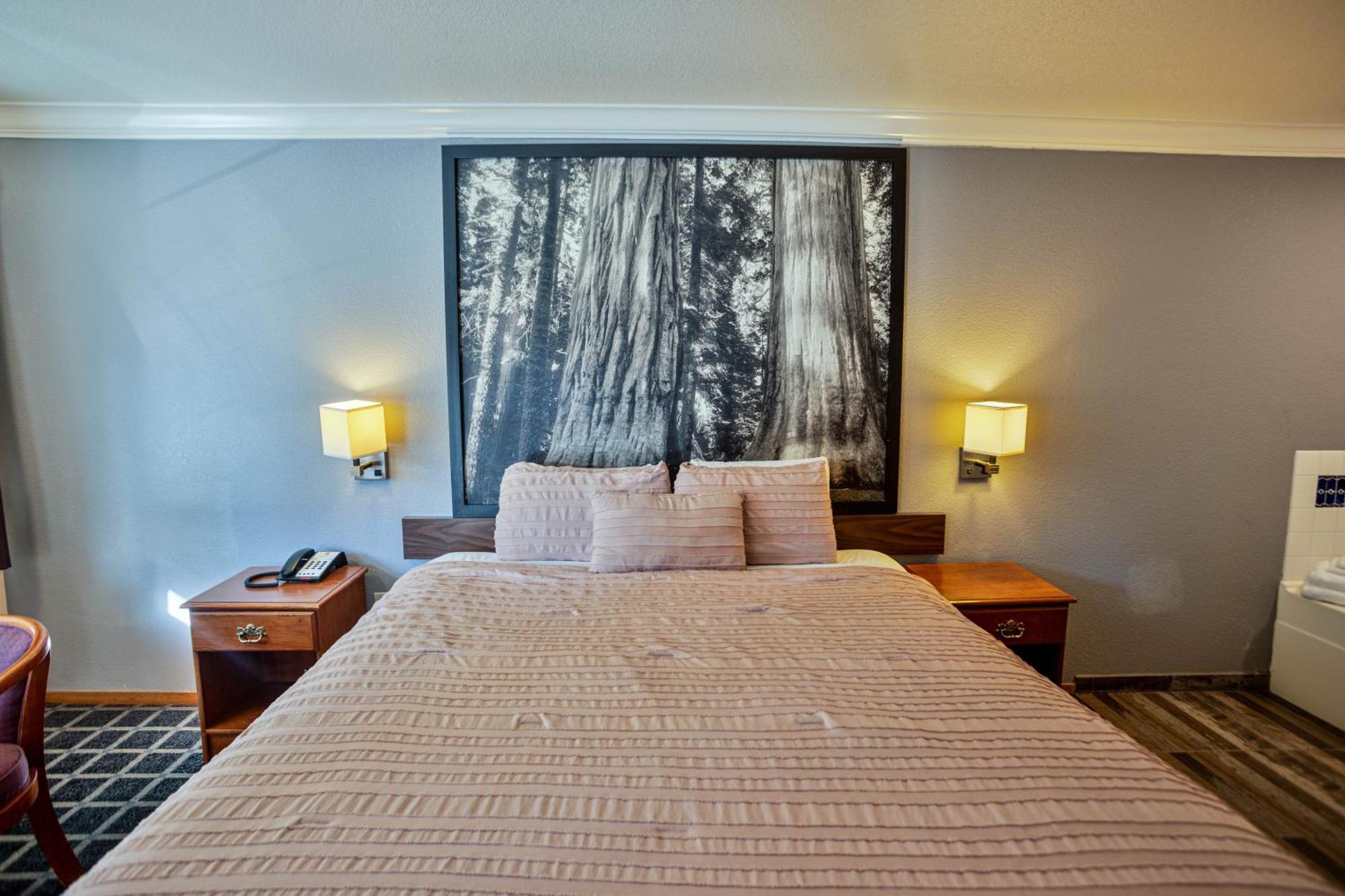 Creekside Inn & Suites Уилиц Екстериор снимка